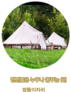 쌍둥이자리