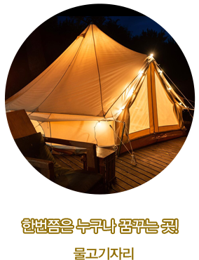 물고기자리